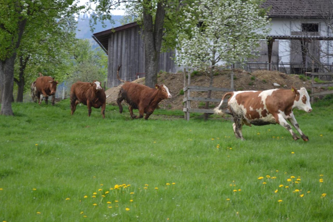 Biohof Auinger, Der Tiererlebnishof Lägenhet Aurach am Hongar Exteriör bild