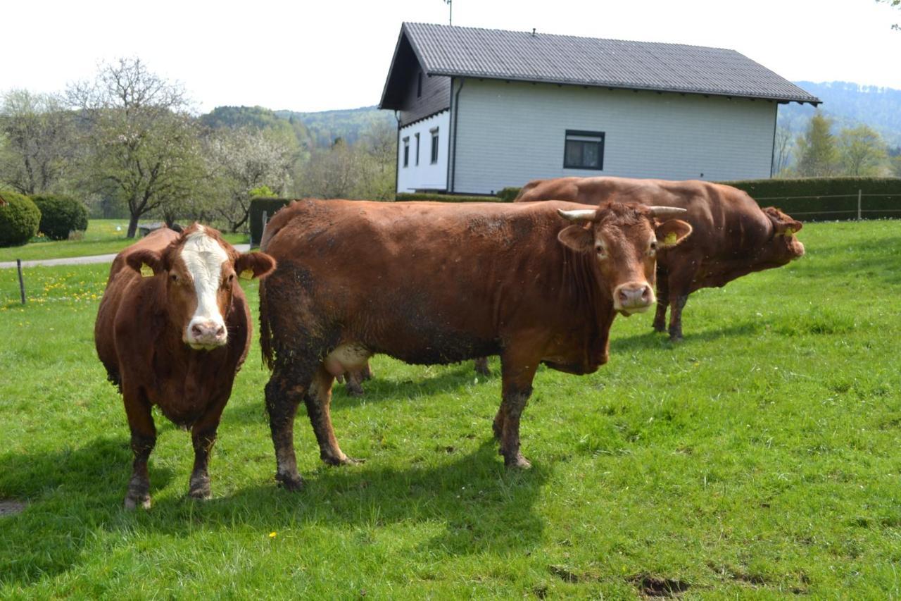 Biohof Auinger, Der Tiererlebnishof Lägenhet Aurach am Hongar Exteriör bild