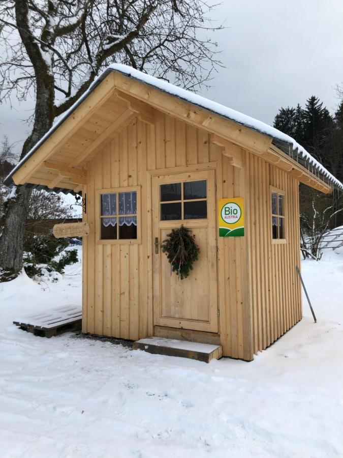 Biohof Auinger, Der Tiererlebnishof Lägenhet Aurach am Hongar Exteriör bild