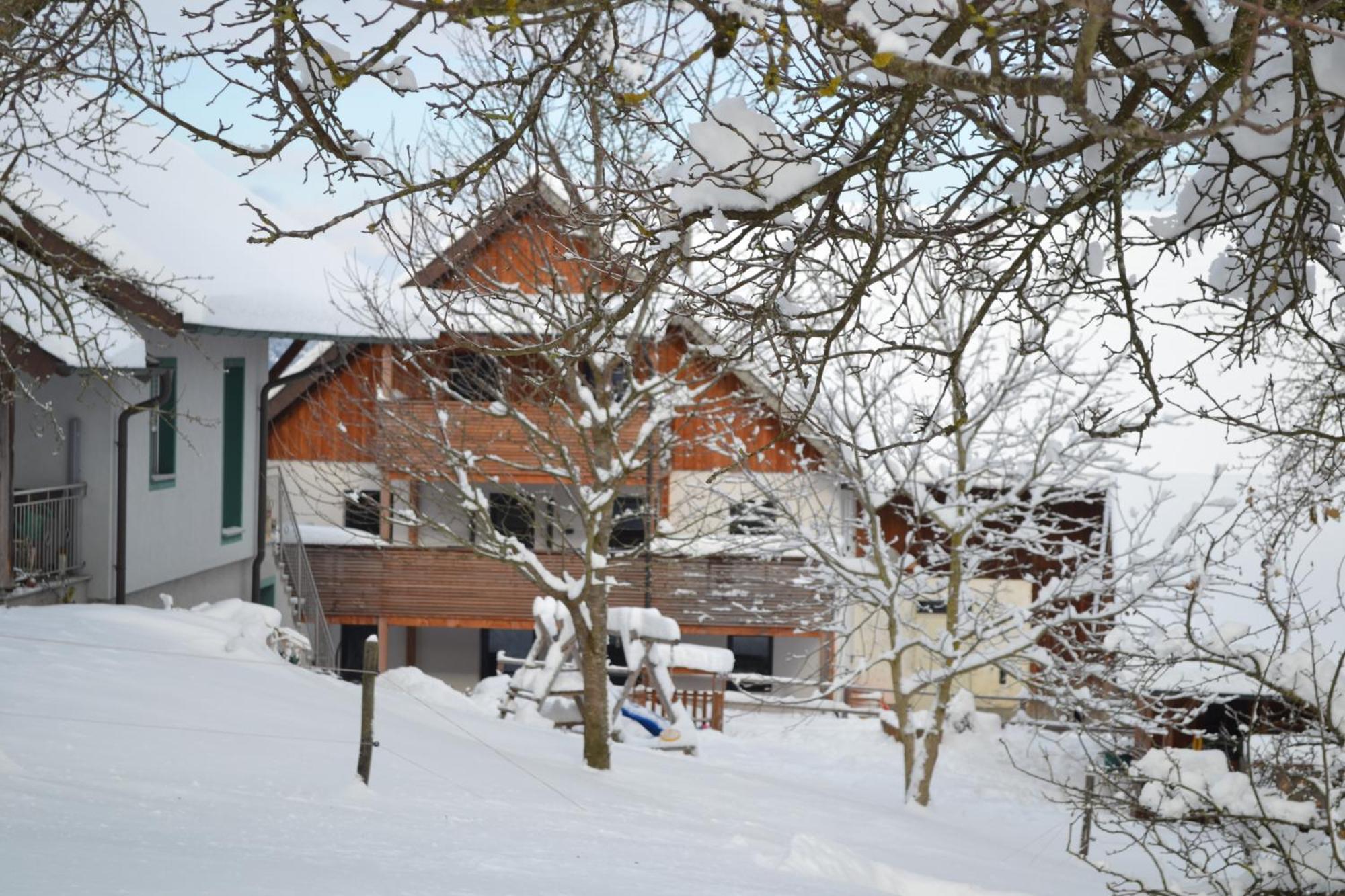 Biohof Auinger, Der Tiererlebnishof Lägenhet Aurach am Hongar Exteriör bild